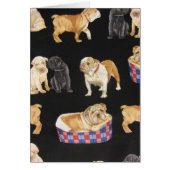 Bulldogs & Shar Peis (Front)