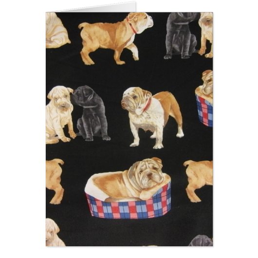 Bulldogs & Shar Peis (Front)