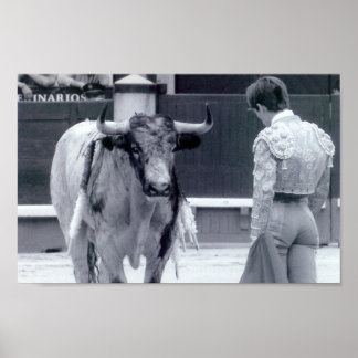 Bullfight stand off poster