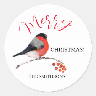 Bullfinch and red Rowan berries, Merry Christmas! Classic Round Sticker