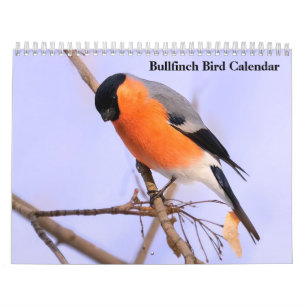 Bullfinch Bird Calendar