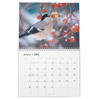 BIRD LOVERS BIRD WATCHERS WATERCOLOR 2024 MINI MAGNETIC CALENDAR