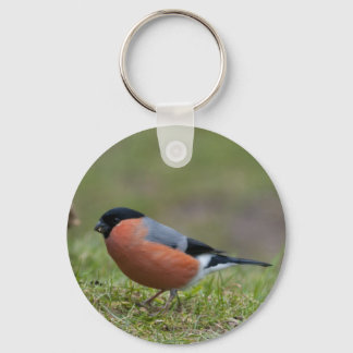 Bullfinch British Bird Keychain