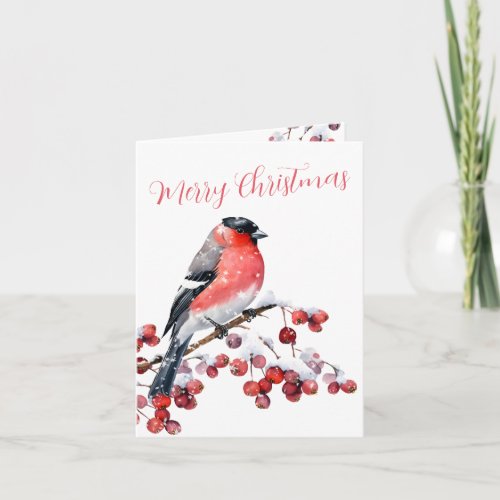 Bullfinch Christmas Bird Snowy Red Berries Holiday Card