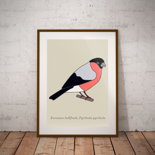 Bullfinch  poster (Bullfinch poster)