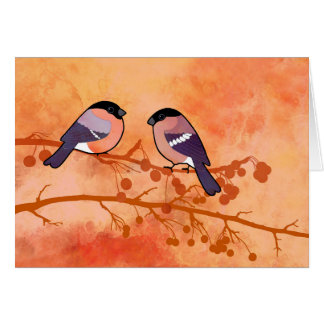 Bullfinch (Pyrrhula pyrrhula) Cards