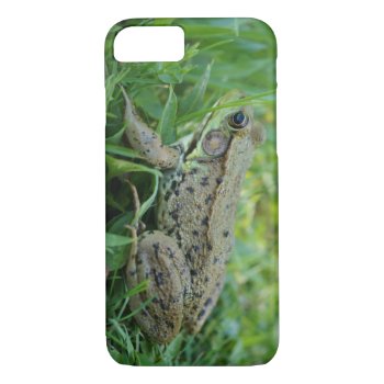 Bullfrog Barely There Iphone 7 Case by StormythoughtsGifts at Zazzle