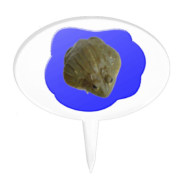 Bullfrog in Pond Cake Pick (Front)