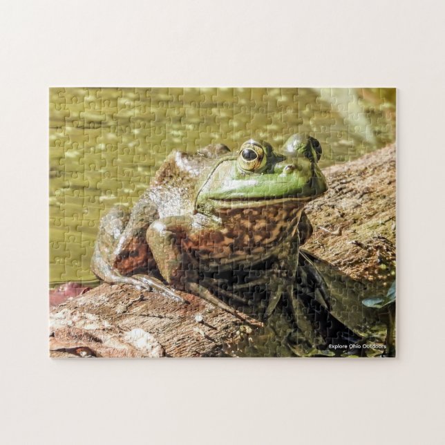 Bullfrog Jigsaw Puzzle (Horizontal)