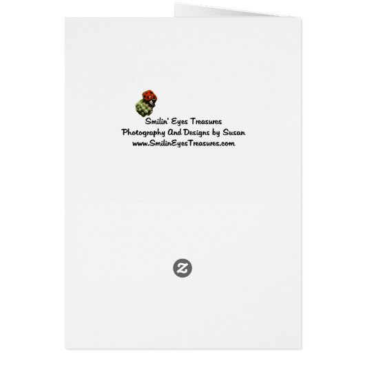 Bullfrog Kaleidoscope Nature Photo Card (Back)