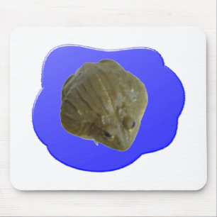 Bullfrog Mousepad
