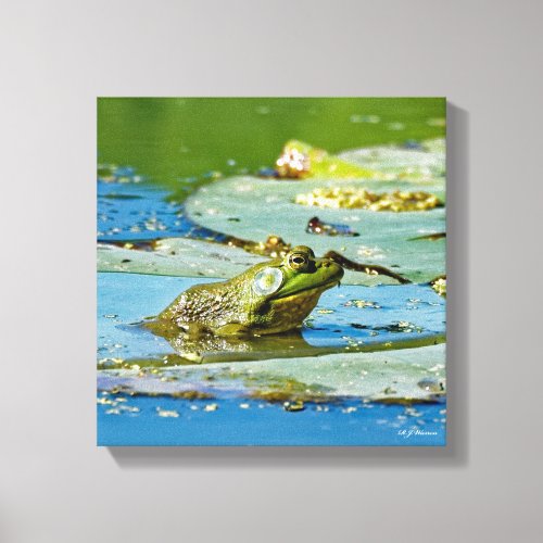 Bullfrog on a Lily Pad 12x12 Canvas Print
