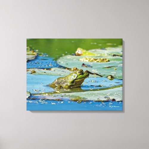 Bullfrog on a Lily Pad 18x24 Canvas Print