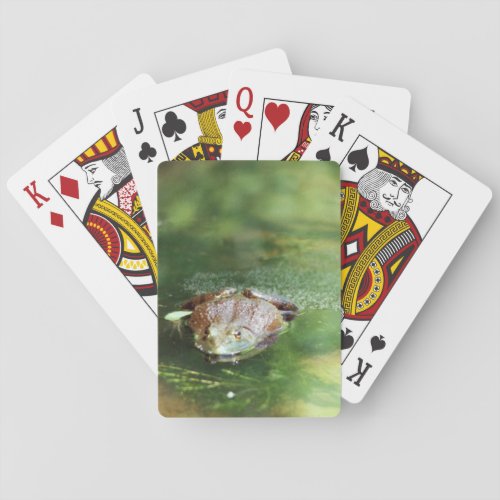 Bullfrog Playing Cards