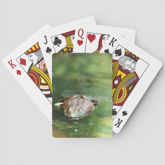 Bullfrog Poker Cards (Back)