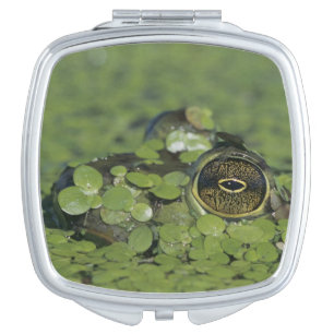 Bullfrog, Rana catesbeiana, adult in duckweed Mirror For Makeup