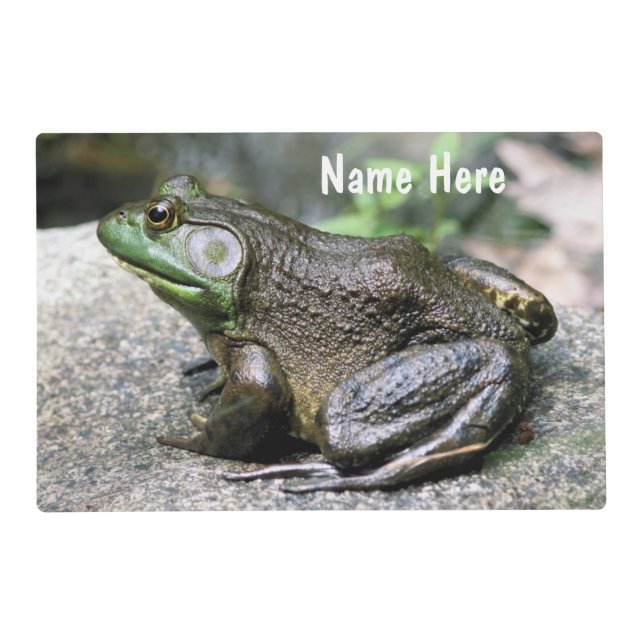 Bullfrog Sitting On Rock Nature  Placemat (Front)