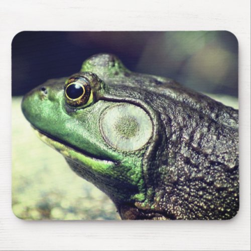 Bullfrog Thoughts Nature Mouse Pad
