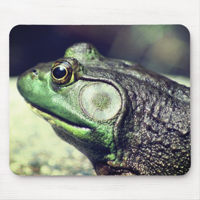 Bullfrog Thoughts Nature Mouse Pad (Front)