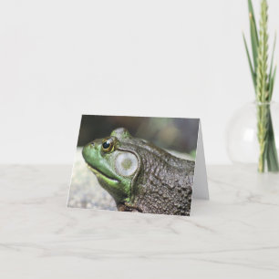 Bullfrog Thoughts Nature Photography Note Card