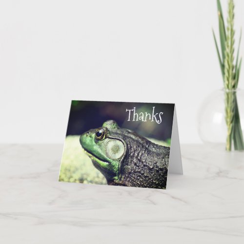 Bullfrog Thoughts Nature Thank You Card
