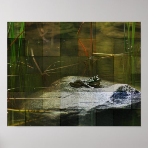 Bullfrog Through Frosted Glass Nature Poster