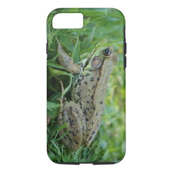 Bullfrog Tough Iphone 7 Case by StormythoughtsGifts at Zazzle
