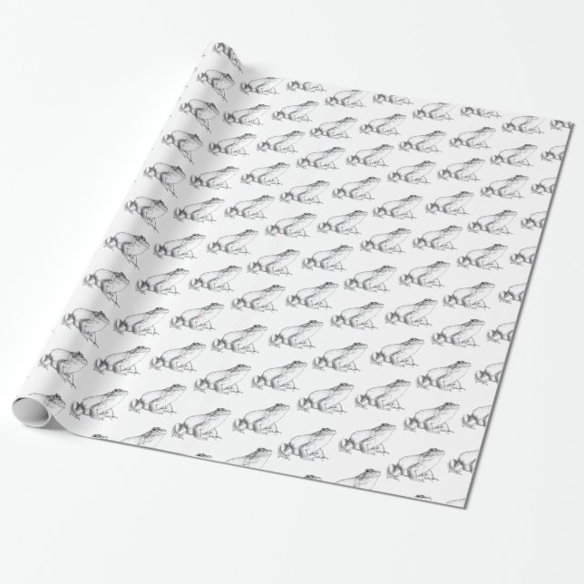 Bullfrog Wrapping Paper Cute Frog Wrapping Paper (Unrolled)