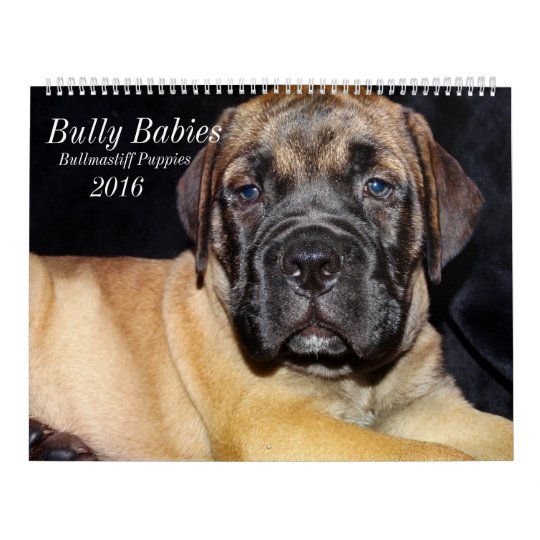 Bullmastiff Calendar 2016