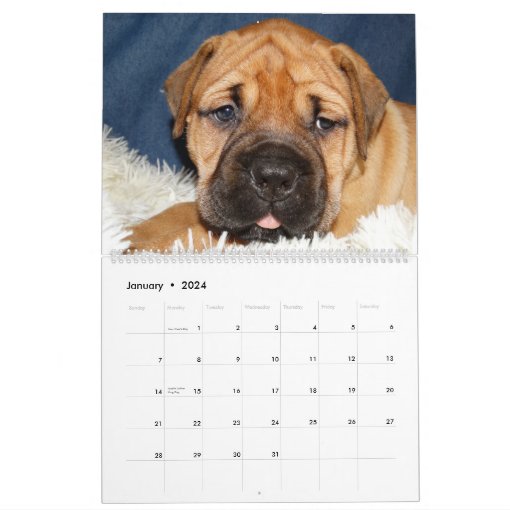 Bullmastiff Calendar 2016 Zazzle