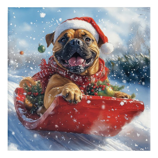Bullmastiff Dog in Sledge Let it Snow Christmas Acrylic Print (Front)