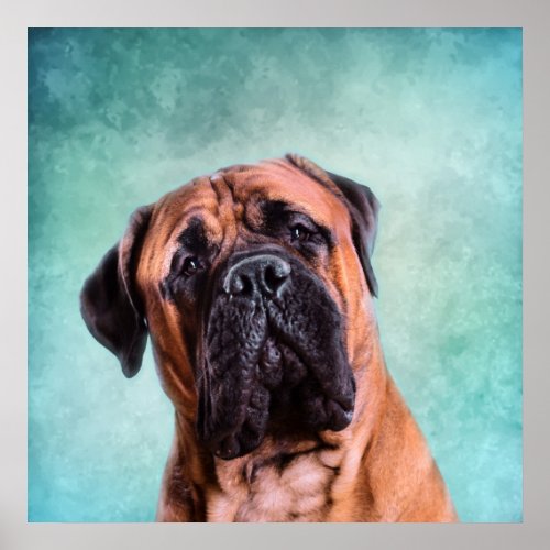 Bullmastiff dog poster