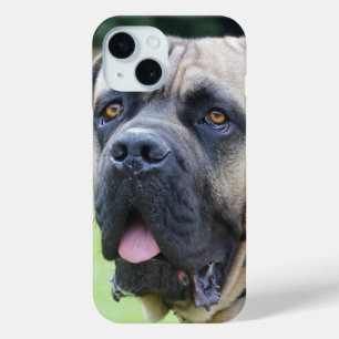 Bullmastiff Face iPhone 15 Case