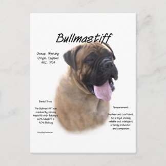 Bullmastiff (fawn) History Design Postcard