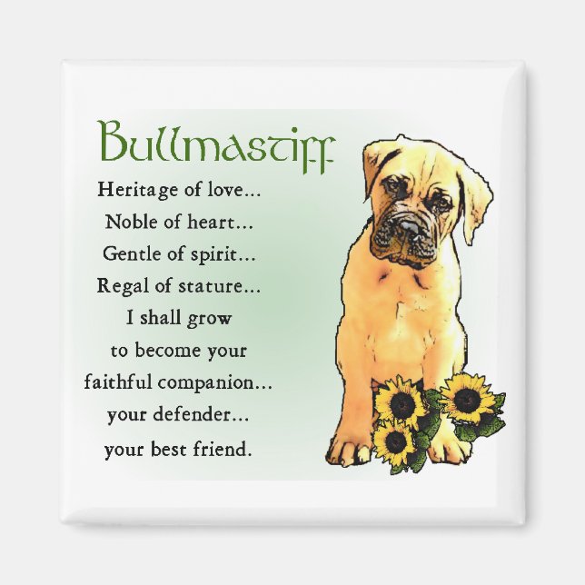 Bullmastiff Gifts Magnet (Front)
