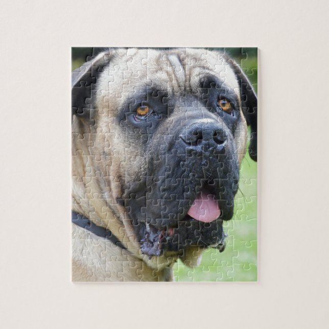 Bullmastiff Jigsaw Puzzle (Vertical)