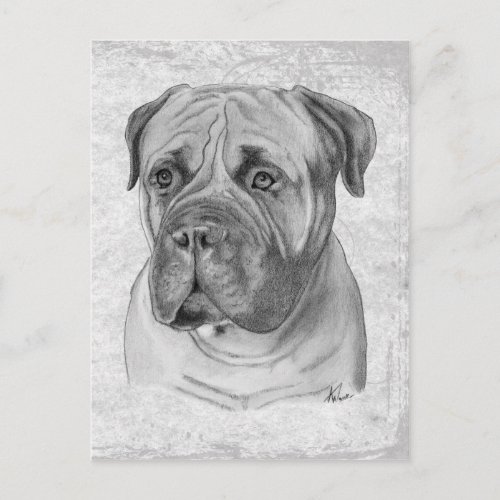 Bullmastiff Postcard