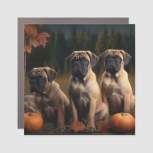 Bullmastiff Puppy Autumn Delight Pumpkin Car Magnet