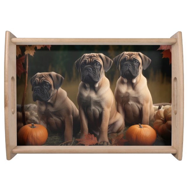 Bullmastiff  Puppy Autumn Delight Pumpkin Serving Tray (Front)