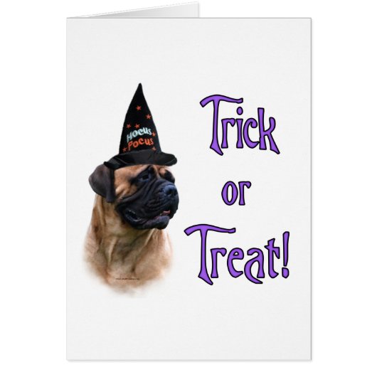 Bullmastiff Trick Cards (Front)