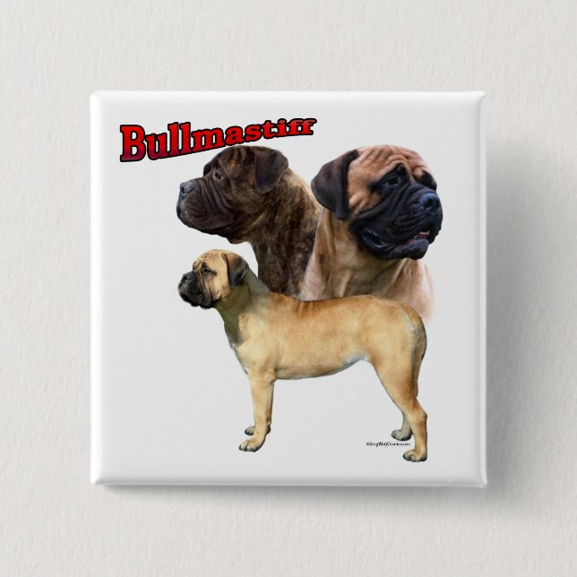 Bullmastiff Trio 2 - Button (Front)