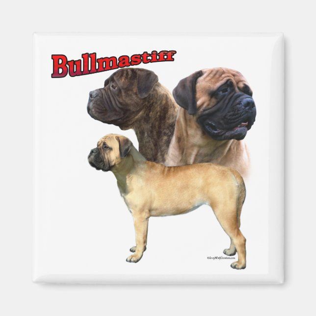 Bullmastiff Trio 2 - Magnet (Front)