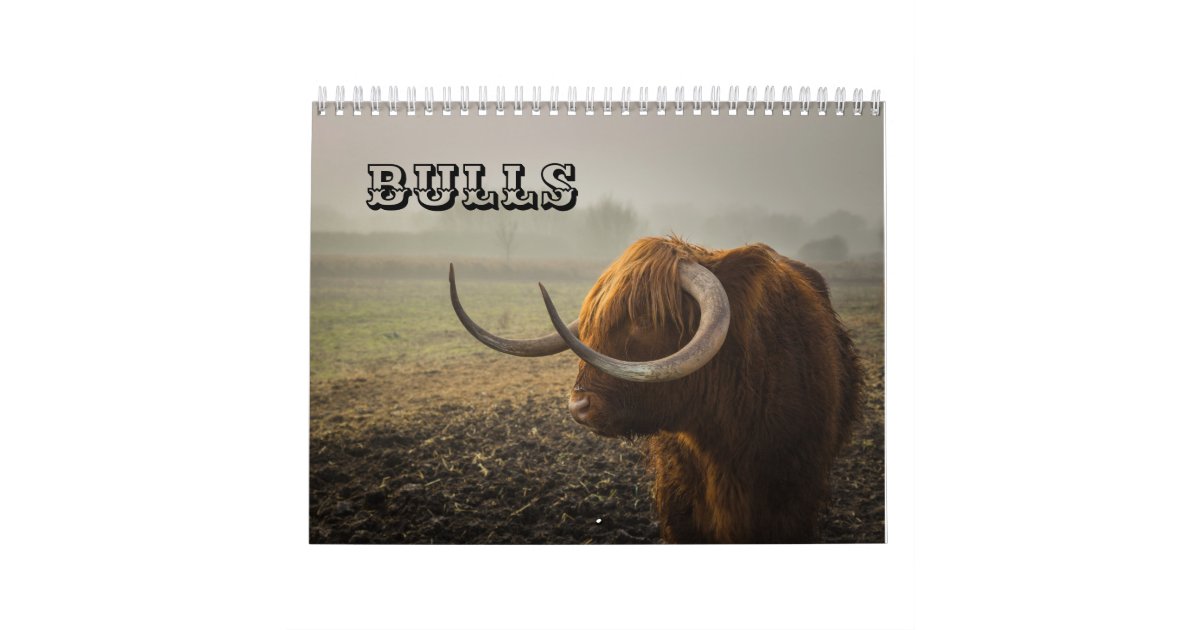 Bulls Calendar