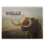 Bulls Calendar at Zazzle
