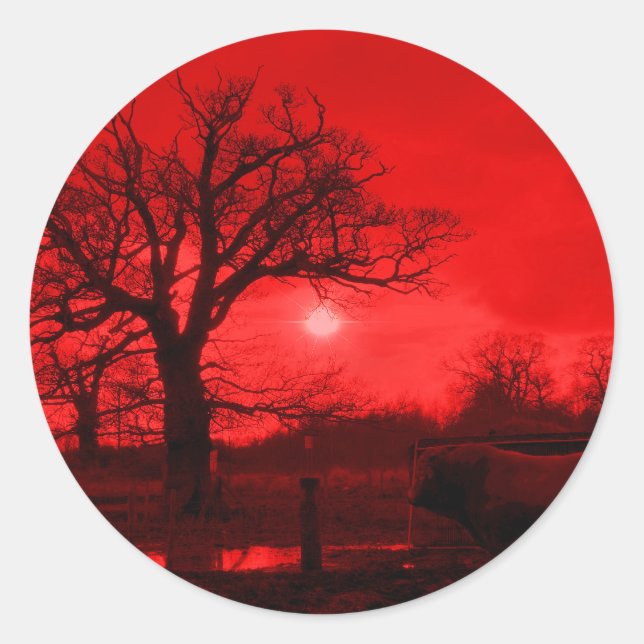 BULLS CLASSIC ROUND STICKER (Front)