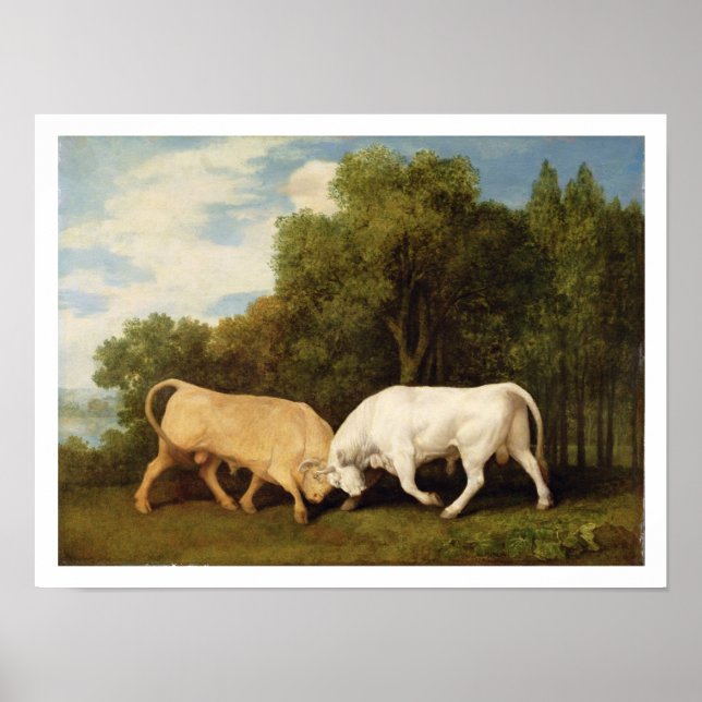 Bulls Fighting, 1786 (oil on panel) Poster (Front)