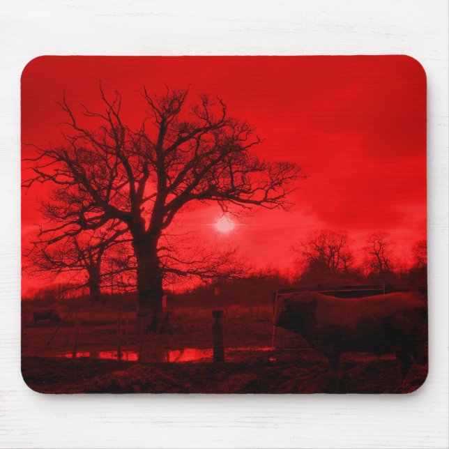 BULLS MOUSE PAD (Front)