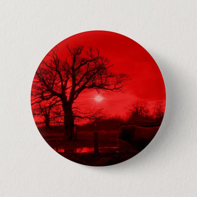 BULLS PINBACK BUTTON (Front)