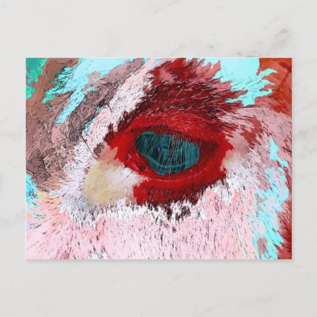 BULLS POSTCARD (Front)