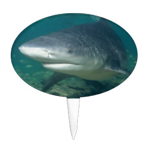 Bullshark Cake Topper